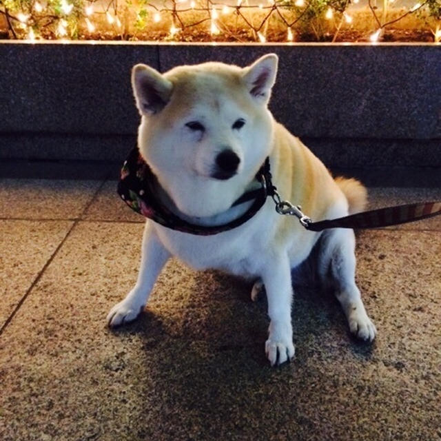仕事終わった(^^)