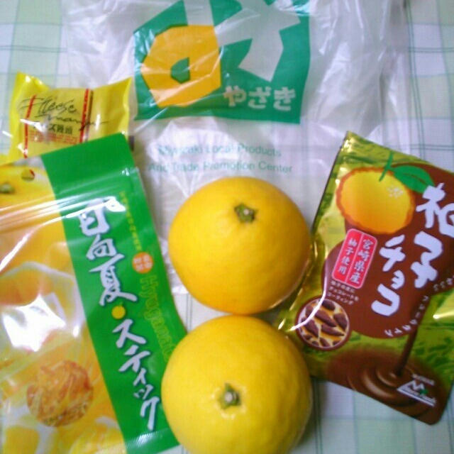 みやざきKONNE