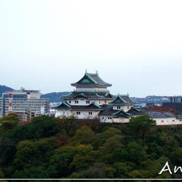 ☆和歌山城と紅葉☆