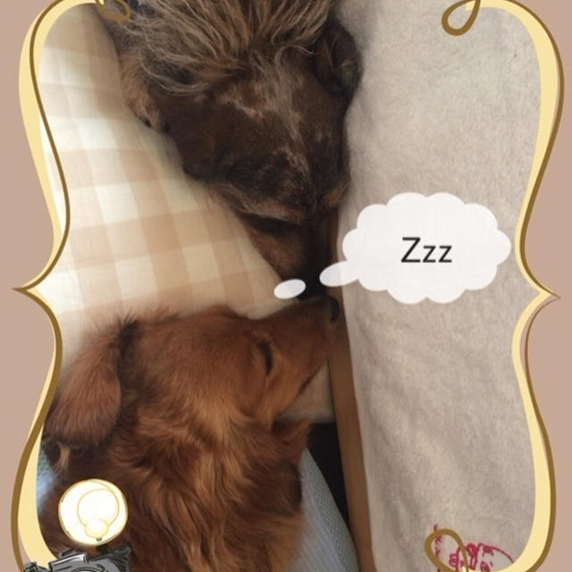 眠りの質チェックしてみたよ。