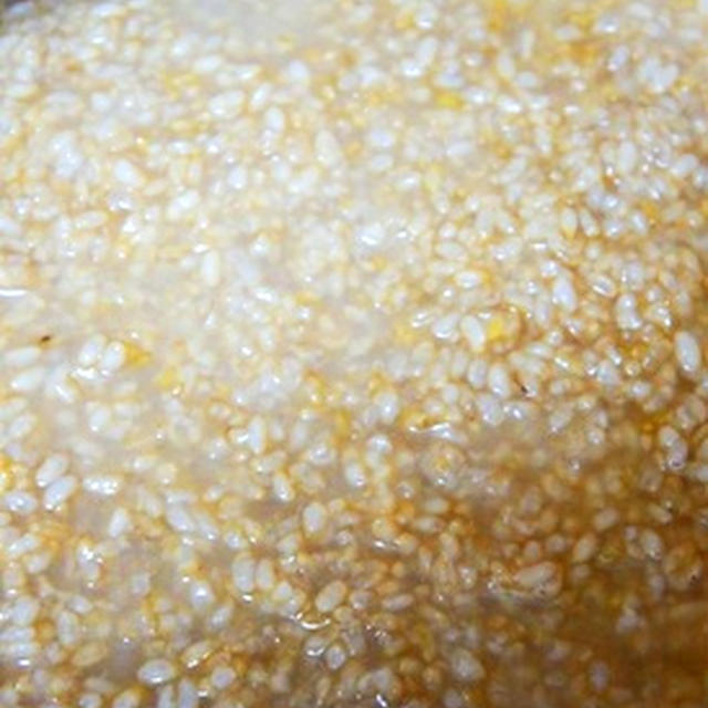 週末は仕込みのし、話題の塩麹のし……玄米塩麹を仕込んでみました
