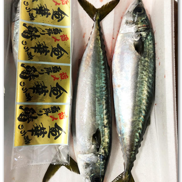 金華育ちの霜降り鯖 宮城県石巻港 活〆畜養さば By 魚屋三代目さん レシピブログ 料理ブログのレシピ満載