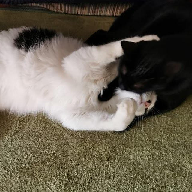 た、助けて～
