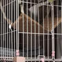 小梅のハンモック
