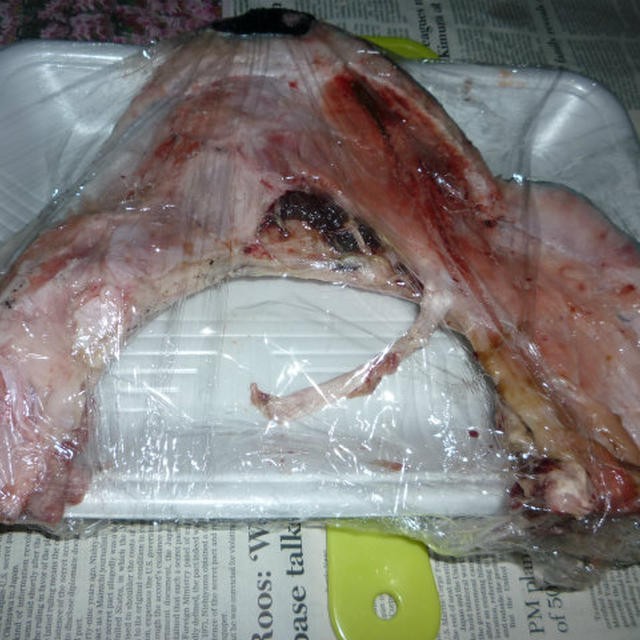 本マグロのカマをゲット