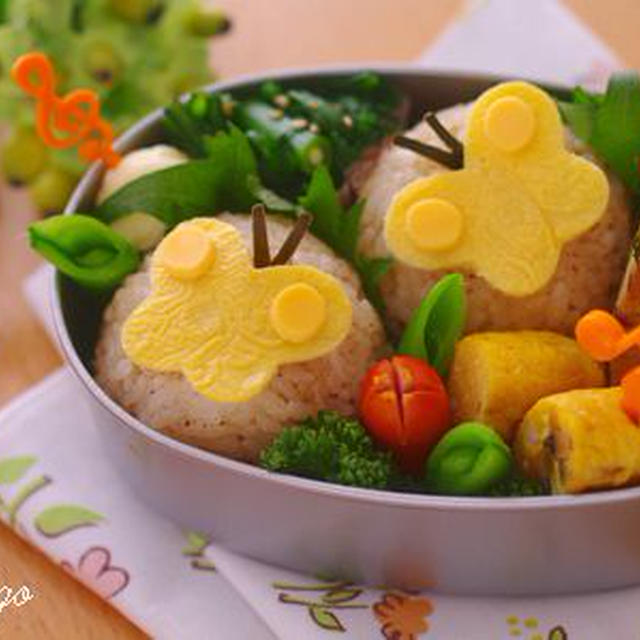 またまた蝶々のお弁当