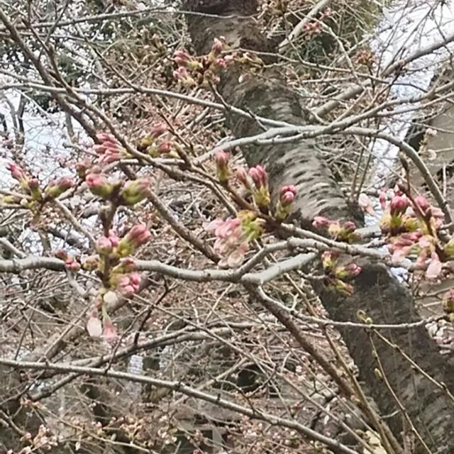 ☆京都☆