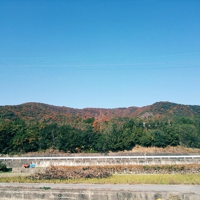 いいなぁ♪いいなぁ～♪人間ていいなぁ～♬*゜と少しは成長してる!?