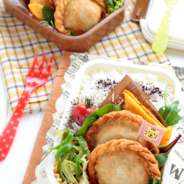 揚げ餃子のお弁当～兄妹お揃い弁当～