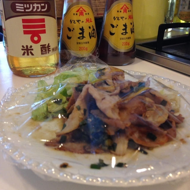 AmebaのSimplog で、初投稿してみました。^^