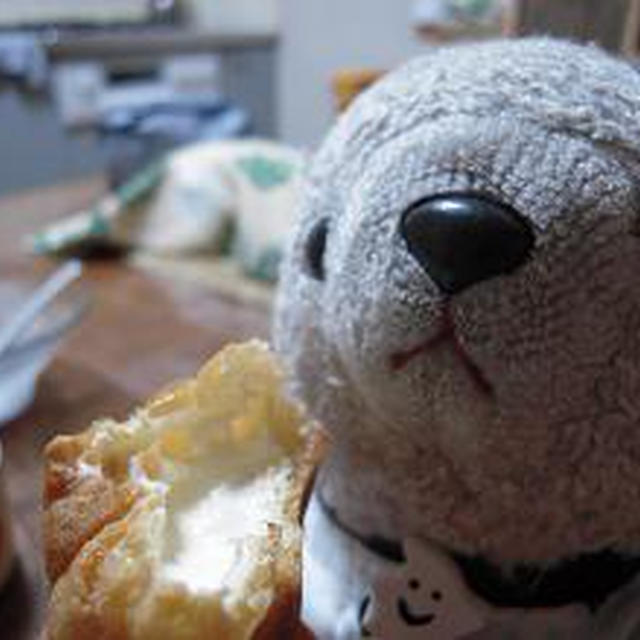 今年もここでおめでとう♪