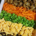 1月22日　　五色弁当