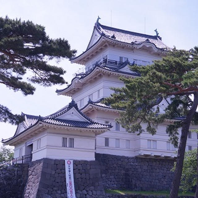 小田原城址公園