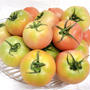 南会津特産品　南郷トマトの季節がやってきた！#暑い日に食べたい一品