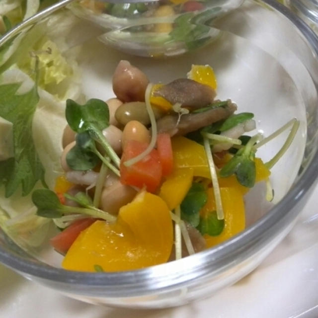 粗切り生姜で豆サラダ！