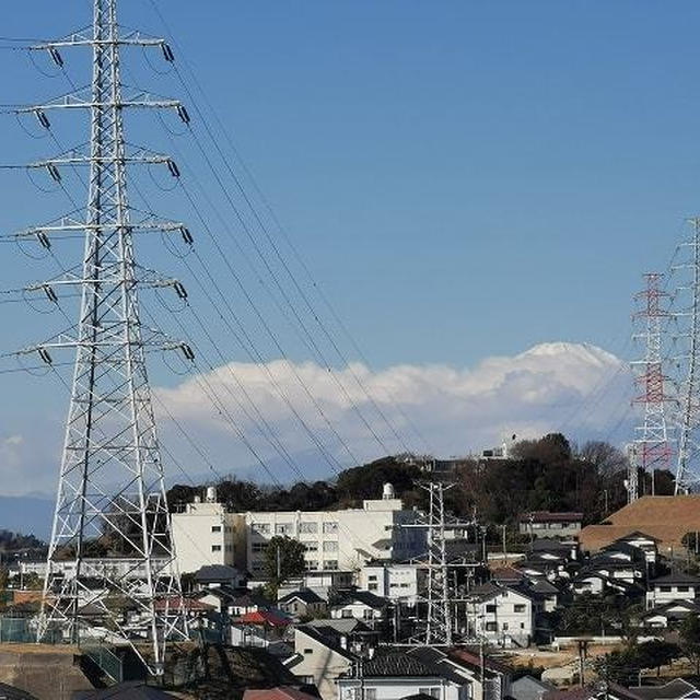 ご機嫌ナナメ
