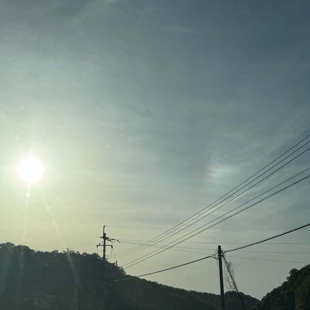 疲れたのかな？体調不良で寝込んでます