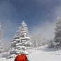 新雪モフモフ四阿山～やっと行けた！