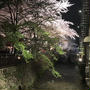 今年の祇園白川の桜で~す(^^)♪