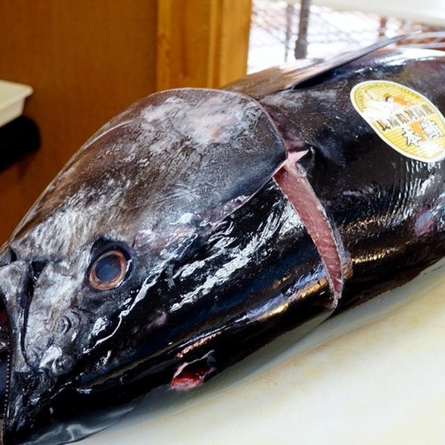 【グルメ　活鮮厚木店で【本マグロの解体ショー】に見取れました＾＾