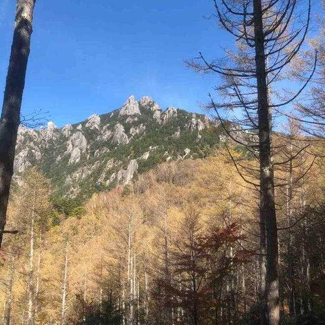 瑞牆山に登ったら絶景でした
