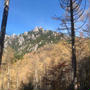 瑞牆山に登ったら絶景でした
