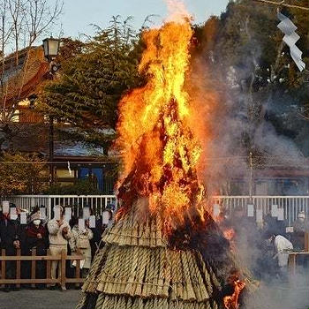 鎌倉鶴岡八幡宮「どんど焼き」2025