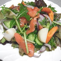 スモークサーモンと野菜の浅漬けサラダと高野豆腐の煮物弁当