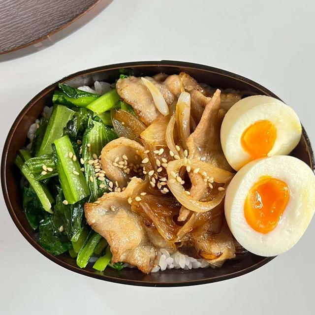 夜な夜なのっけ弁作ってます✋