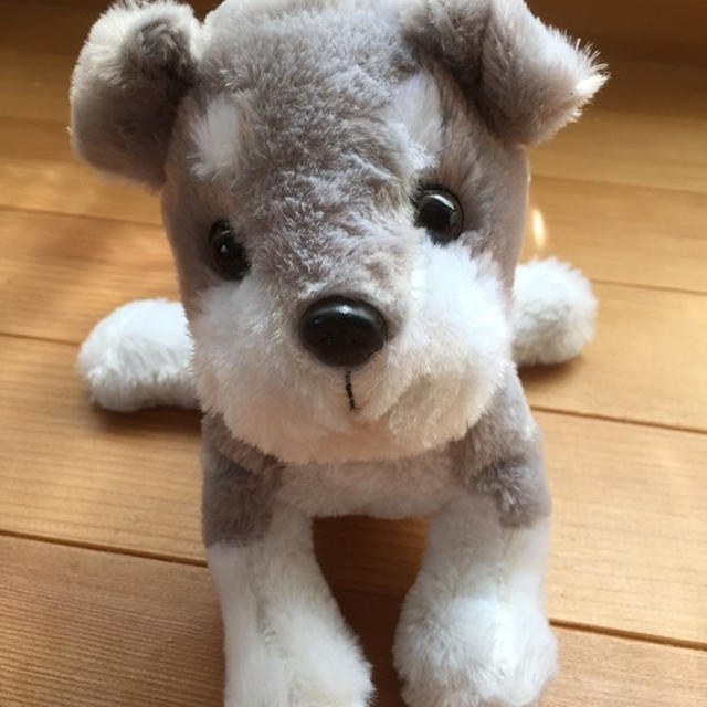 【　スーパーで再開してしまいました！　】