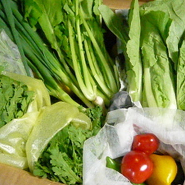 実家から野菜と果物が届きました(ﾉ´∀｀)ﾉ♪