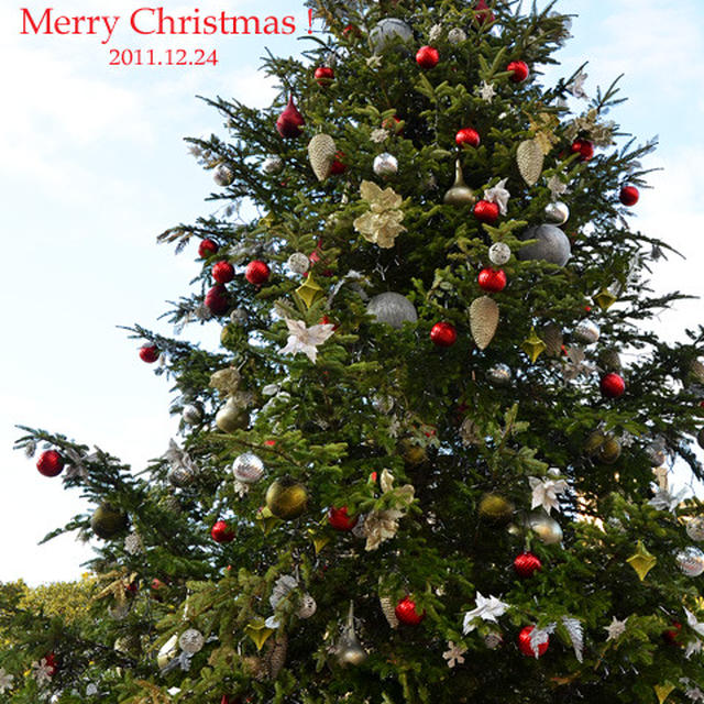 メリークリスマス☆