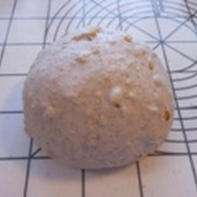 白神こだま酵母日記　***　クルミの全粒粉カンパーニュ　***