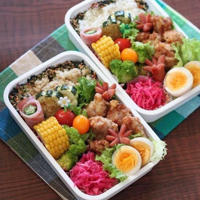 塩から揚げ ✿ 麻婆茄子♪