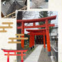 神楽坂・赤城神社～満開の桜と赤城のムカデ
