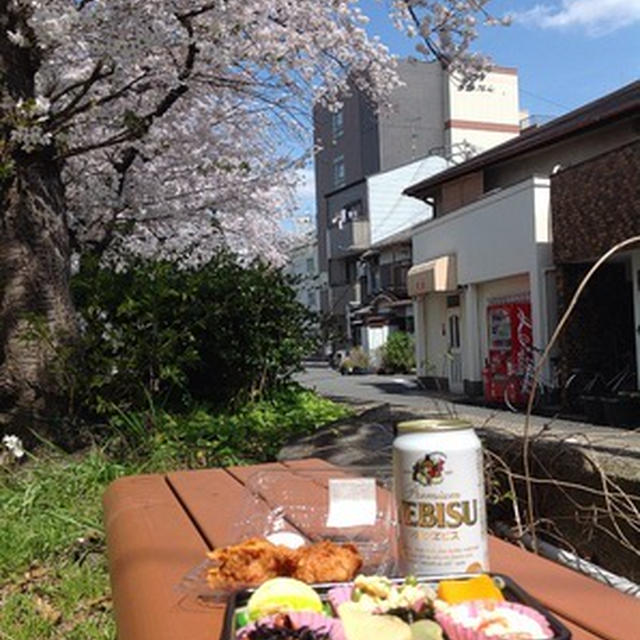 一人で花見ちゅー