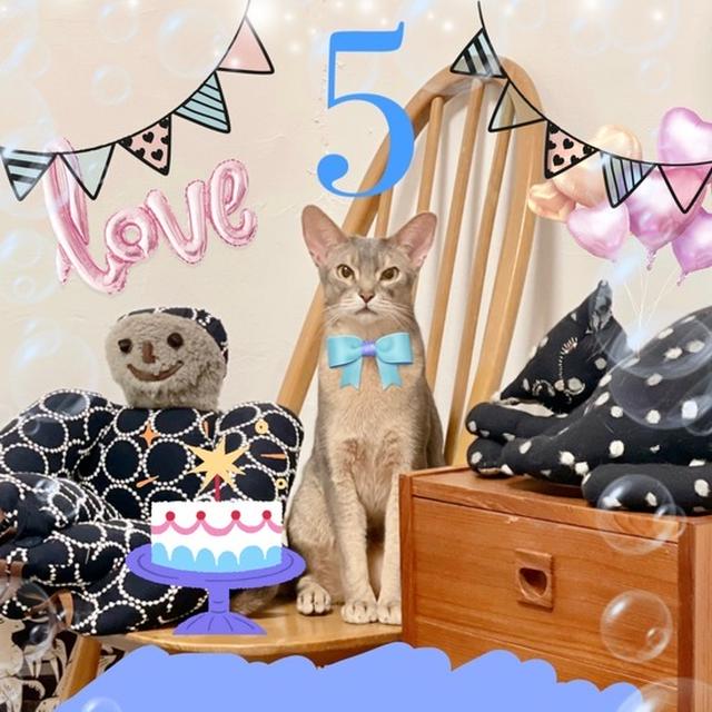 との男、5歳になりました