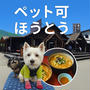 お昼は、富士山が見えるペット可の「完熟屋」さんでほうとうランチ！