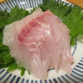 【旨魚料理】ウメイロの刺身