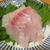 【旨魚料理】ウメイロの刺身