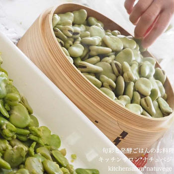 【募集】旬のそら豆で豆板醤＆甘酒コチュジャンを作ろう!!