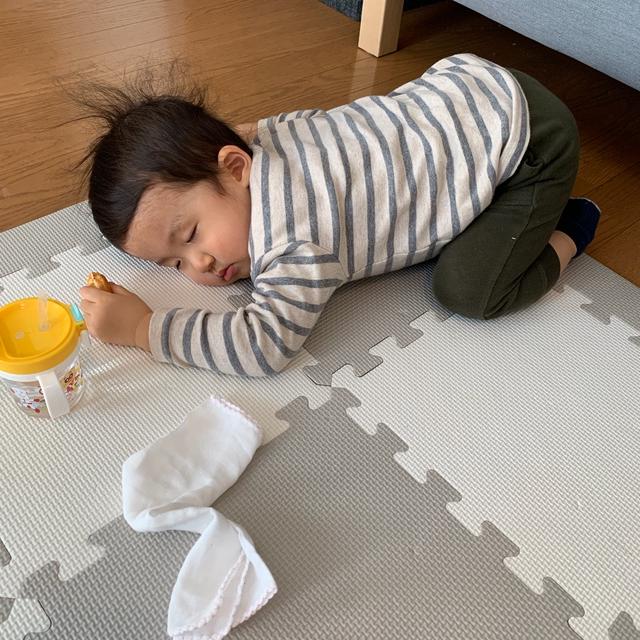 面白すぎる息子