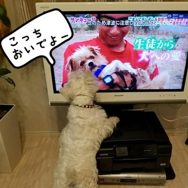 さっ、これからいそがしいぞ。