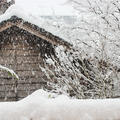 大雪。～まぐろ盛り❤とツマの作り方～