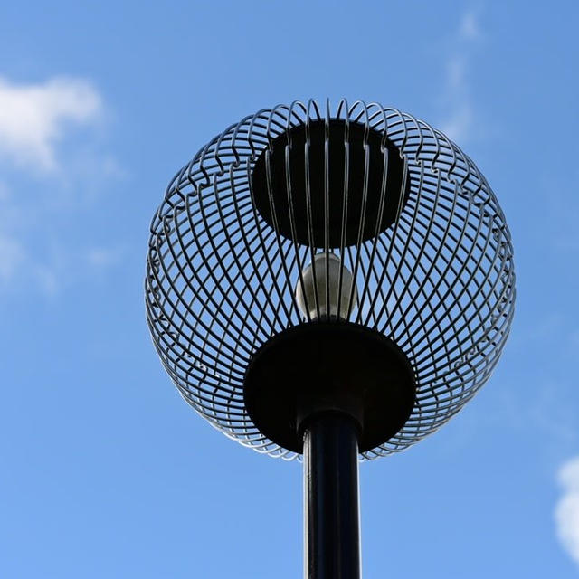 五十公野公園の空と木