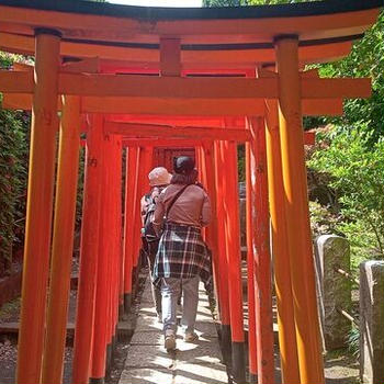 ゴリ散歩（中野ブロードウェイ～根津神社）。