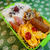 １０月２５日　また寝坊(-_-)zzz　～　男子高校生弁当