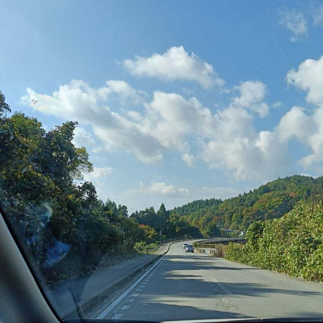 お出かけしてきます(*^^*)