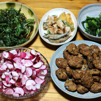 長崎県五島産サバのすり身揚げ、自家栽培ハツカダイコンのサラダと葉の揚げ浸しほか。