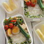 中学生弁当・高校生弁当